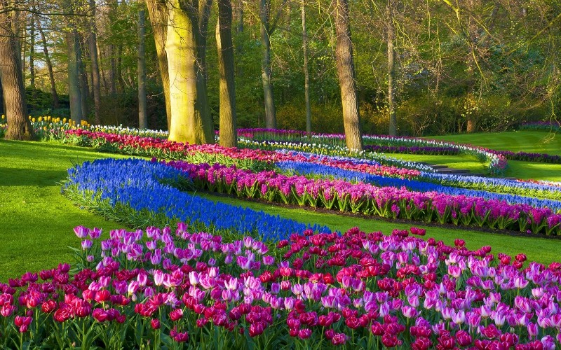 Keukenhof Gardens Holland