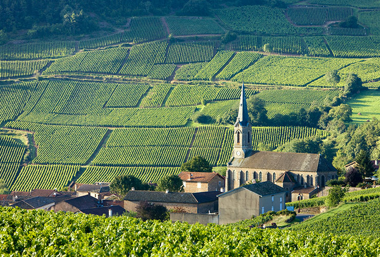 Food Wine Tours France