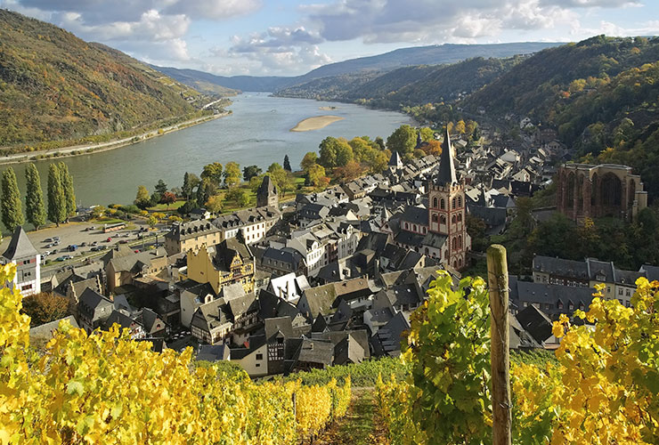 Nature Wellness Germany | Rhine Valley Germany