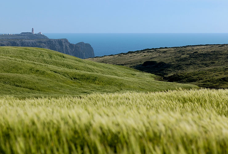 Nature Wellness Spain and POrtugal | Portugal fields